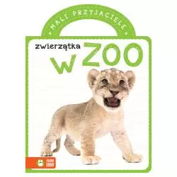 ZWIERZĄTKA W ZOO. MALI PRZYJACIELE 1+ - Zielona Sowa