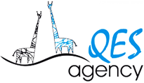 Qes Agency