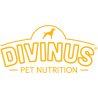 Divinus